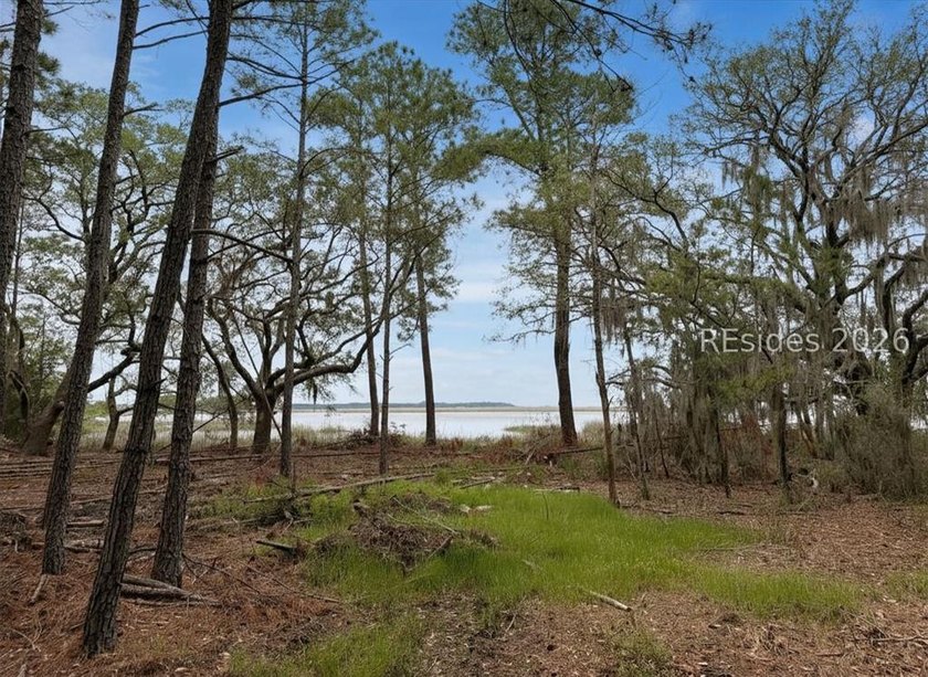 Escape to your own slice of the Lowcountry with this 1 acre - photo 6