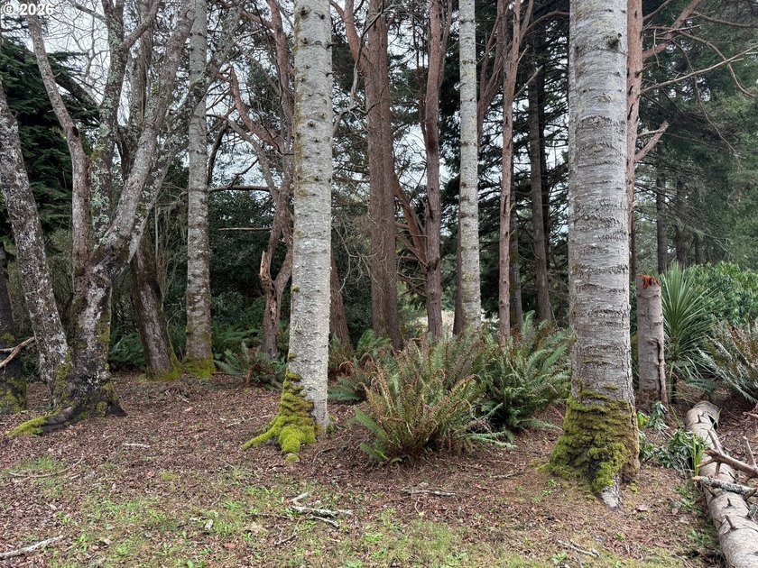GORGEOUS HUGE .34 ACRE PARK LIKE BANDON BUILDING LOT AVAILABLE! - photo 11