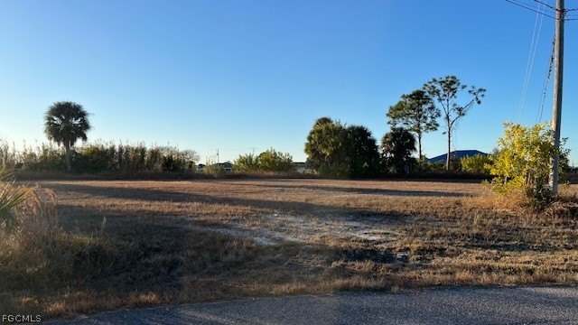 BEAUTIFUL OVERSIZED LOT with Amazing View into Intersection - photo 3