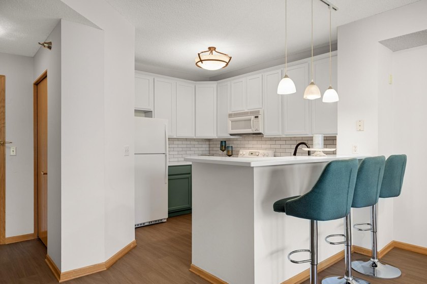 Move right into this beautifully updated top-floor North Loop - photo 7