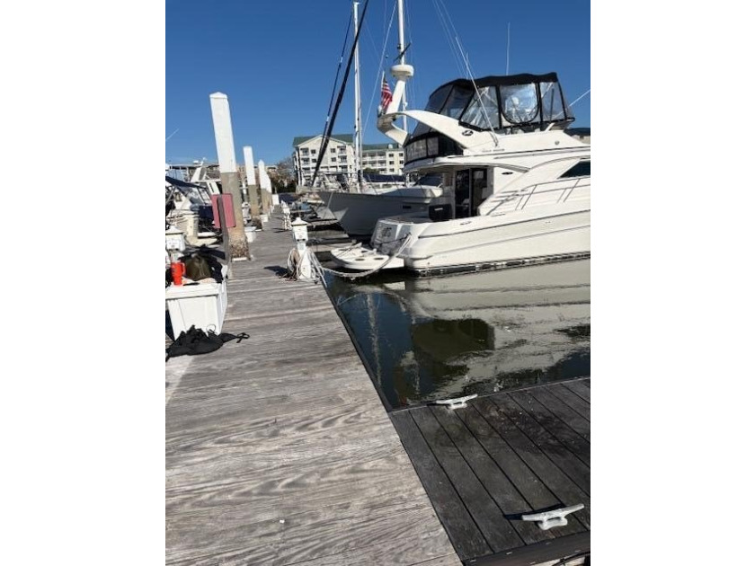 Amazing opportunity to own slip G19 at The Ashley Harborage - photo 2