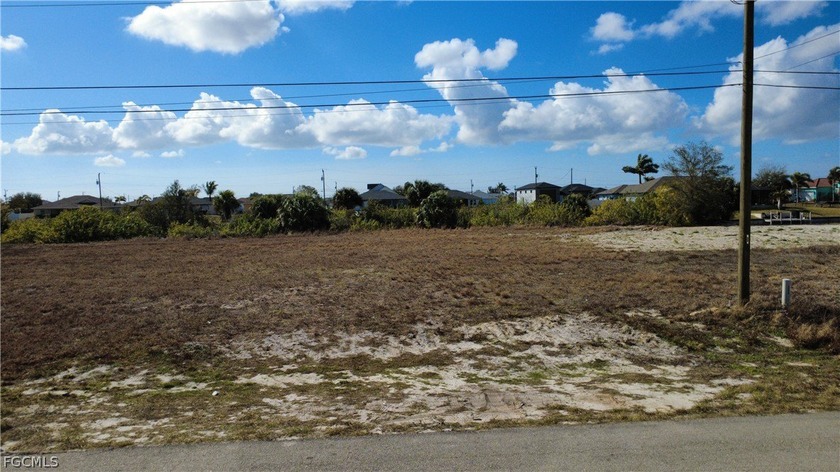 Exclusive Waterfront Opportunity in Cape Coral, Florida Discover - photo 4
