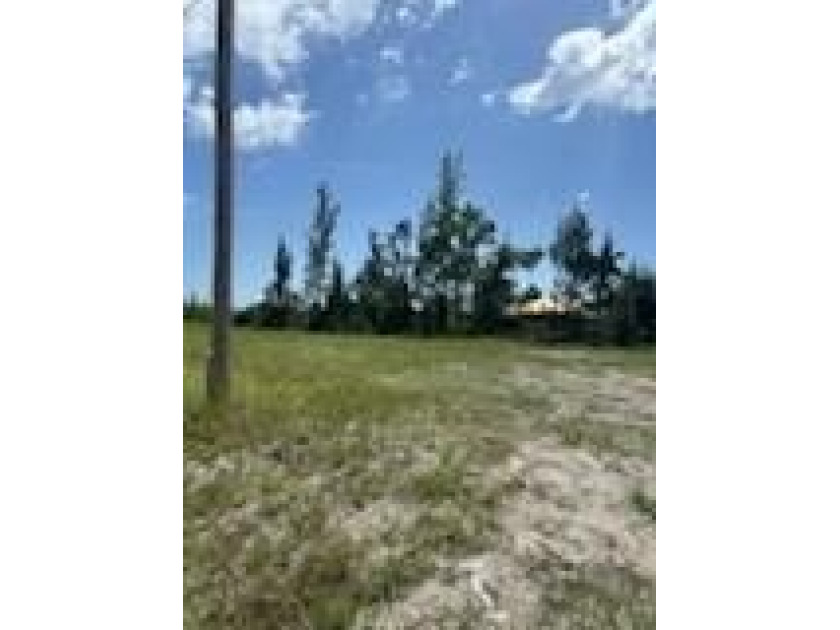 Waterfront lot in the rapidly growing NW Cape Coral corridor! - photo 30