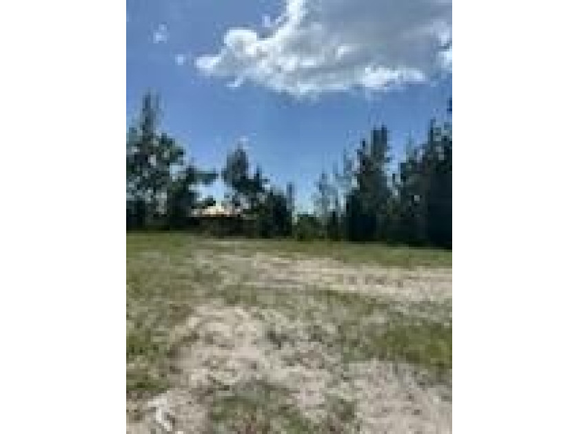 Waterfront lot in the rapidly growing NW Cape Coral corridor! - photo 31