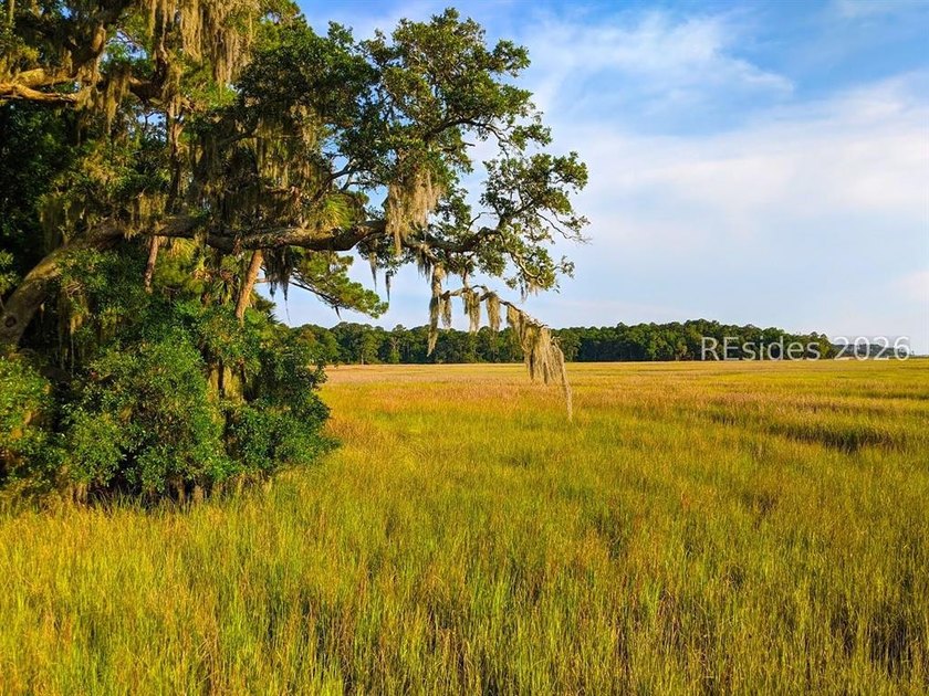 This .46 acre lot is located in Melrose on Daufuskie Island on a - photo 15