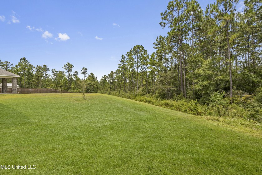 This practically brand-new home is hitting the market at a value - photo 26