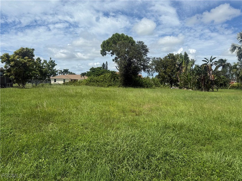 Build your Ultimate Dream Home on this beautiful waterfront lot - photo 4