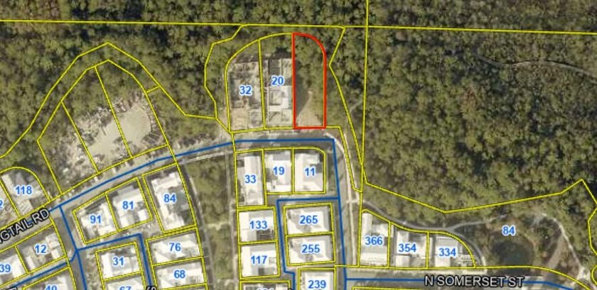 One of the largest remaining Villa homesites in Alys presents a - photo 6