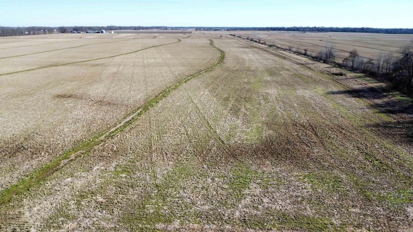 This farm, totaling 606.5 acres, is comprised of four tracts - photo 13