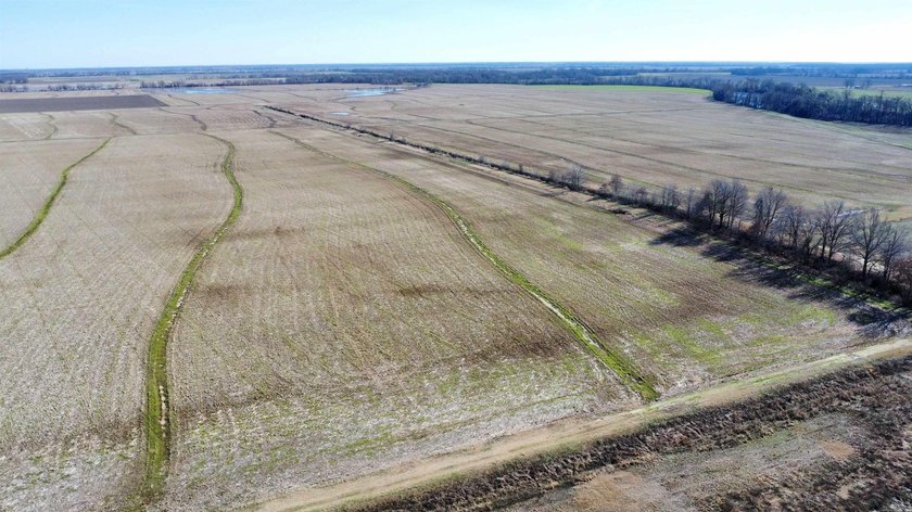 This farm, totaling 606.5 acres, is comprised of four tracts - photo 15