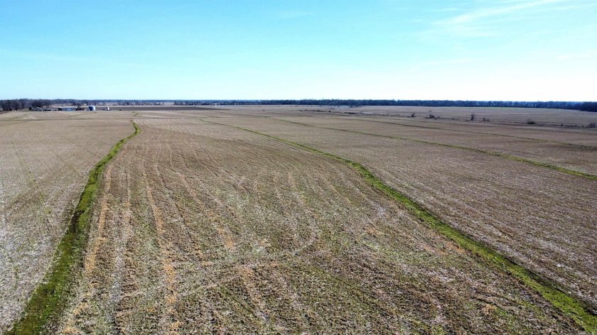 This farm, totaling 606.5 acres, is comprised of four tracts - photo 18