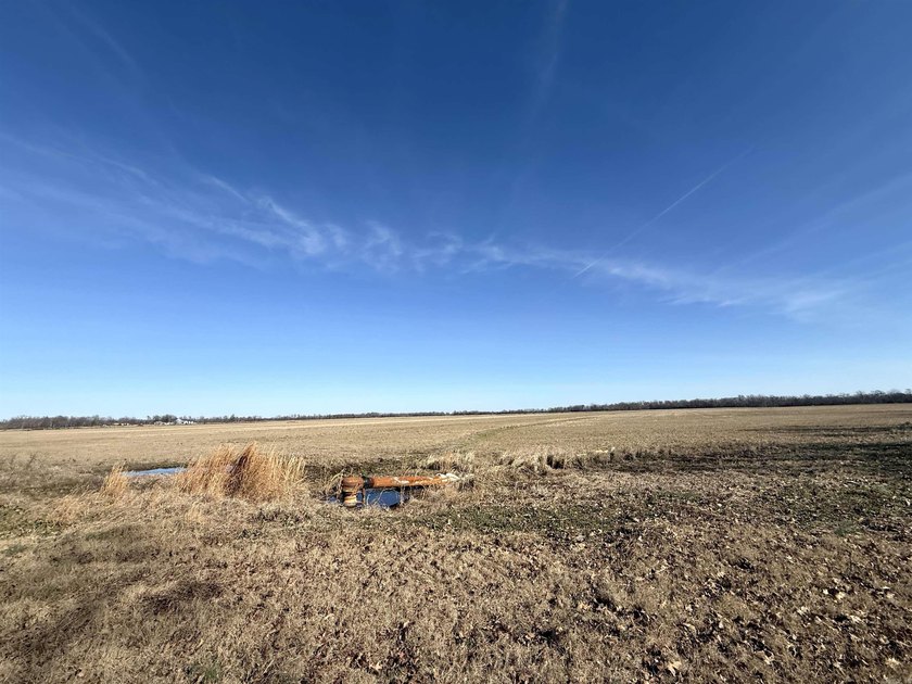 This farm, totaling 606.5 acres, is comprised of four tracts - photo 21