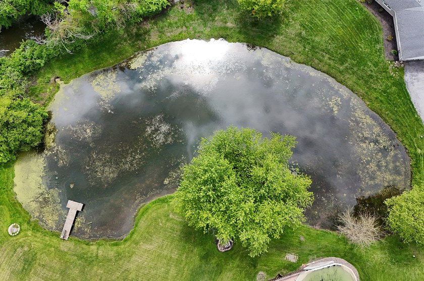LAKE LIFE - right here in Homewood! Fabulous 1 acre property - photo 35