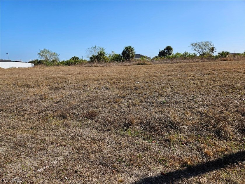 HUGE PRICE REDUCTION!!! BUILDERS and INVESTORS FRESHWATER LOT!! - photo 4