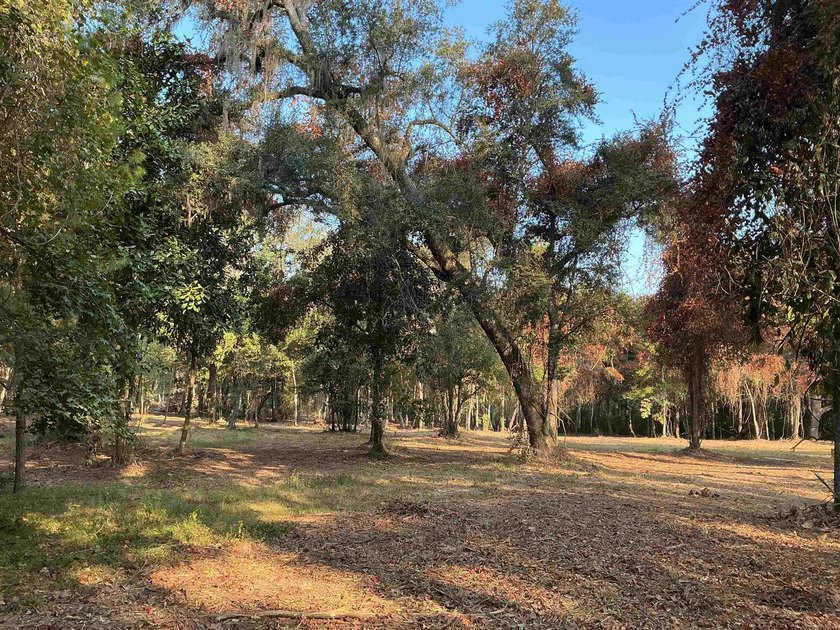 Seller Motivated to Sell! Discover 14.9 acres of pristine - photo 11