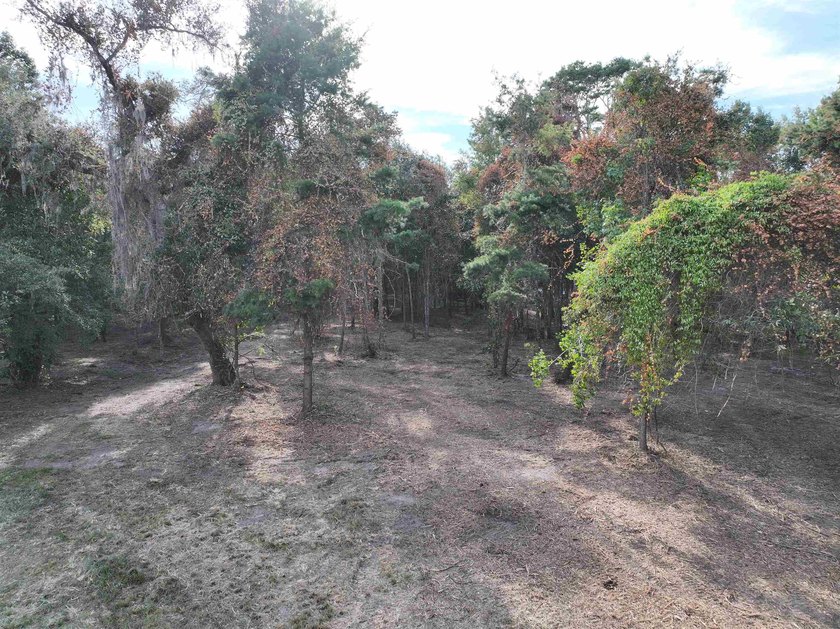 Seller Motivated to Sell! Discover 14.9 acres of pristine - photo 13