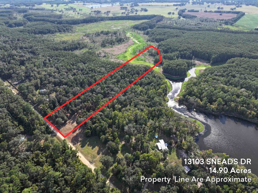 Seller Motivated to Sell! Discover 14.9 acres of pristine - photo 14