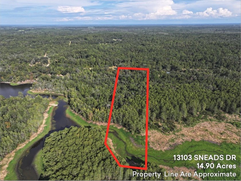Seller Motivated to Sell! Discover 14.9 acres of pristine - photo 15