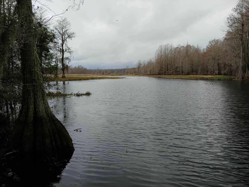 Seller Motivated to Sell! Discover 14.9 acres of pristine - photo 18