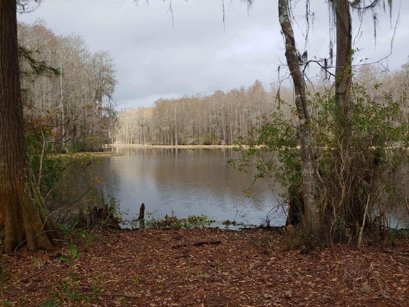 Seller Motivated to Sell! Discover 14.9 acres of pristine - photo 19