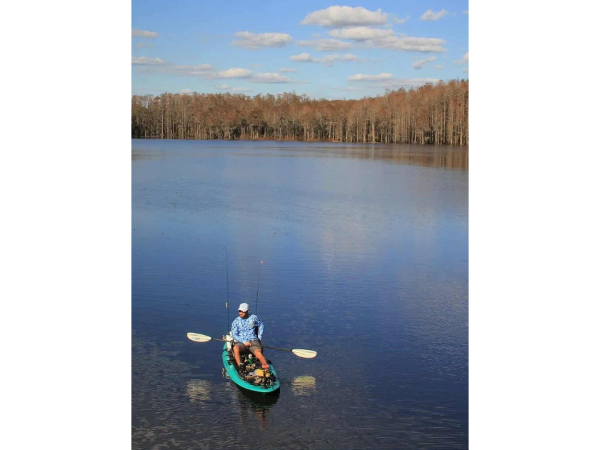 Seller Motivated to Sell! Discover 14.9 acres of pristine - photo 20