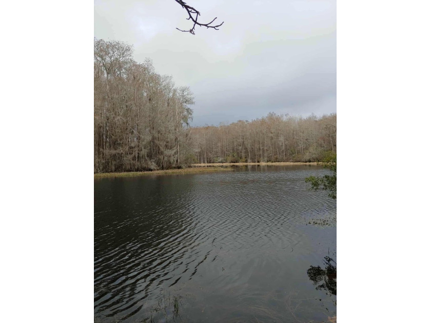 Seller Motivated to Sell! Discover 14.9 acres of pristine - photo 21