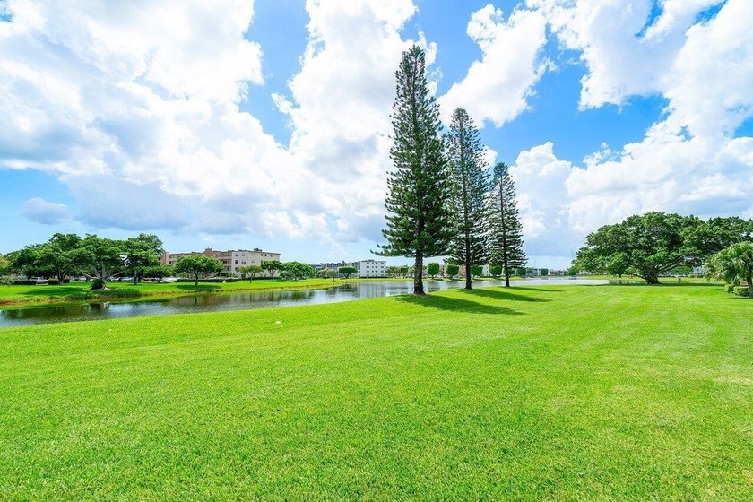 Experience Resort-Style Living in This Beautiful Move-In Ready - photo 22