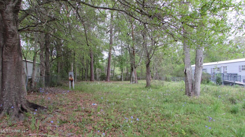 Zoned for mobile homes in subdivision. Majority of the lot is in - photo 2