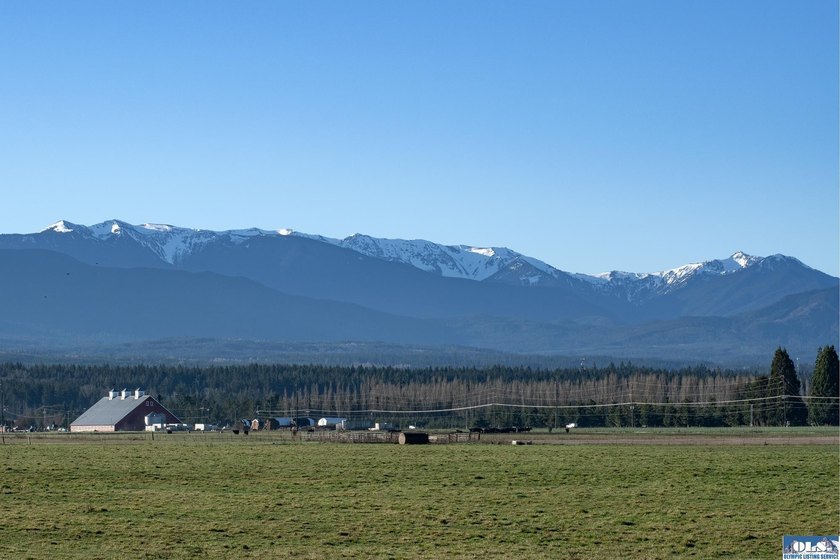 Beautiful &amp; all encompassing views of the Olympic Mountains! - photo 13