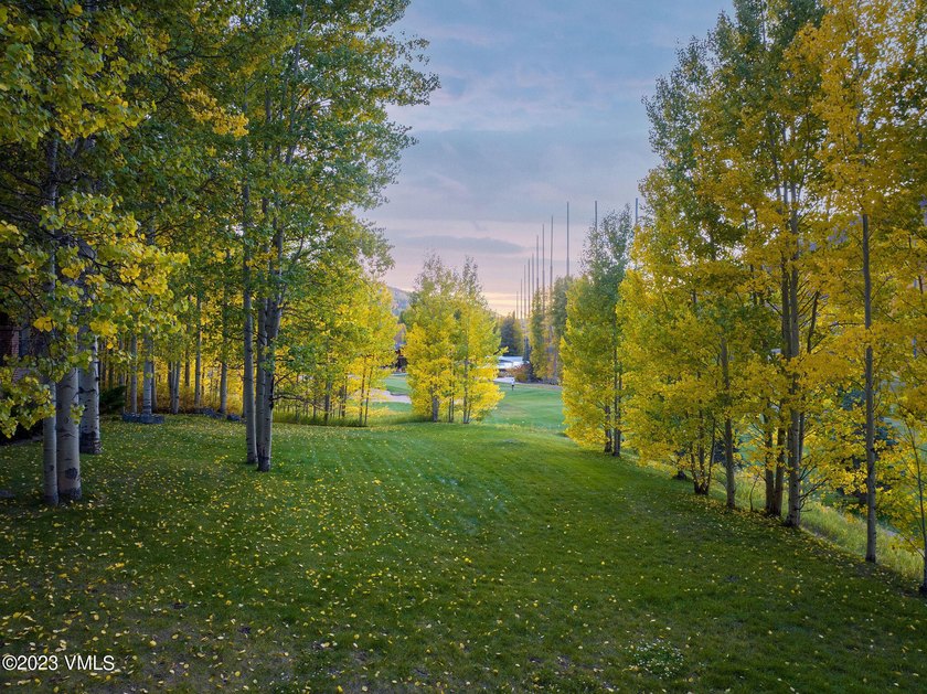 Compelling value in an exclusive, private section of the Vail - photo 3