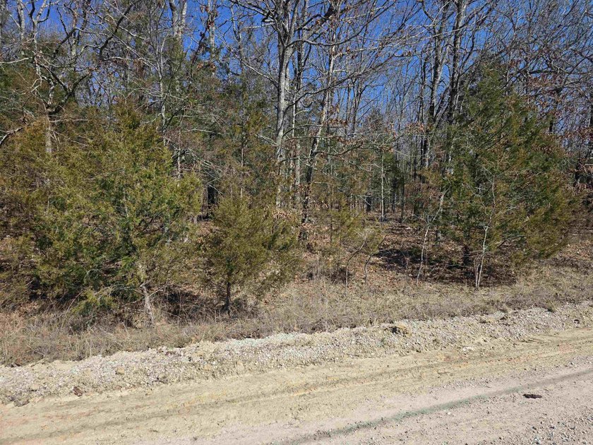 Wonderful Lake-view lot on beautiful Diamond Lake of Horseshoe - photo 6