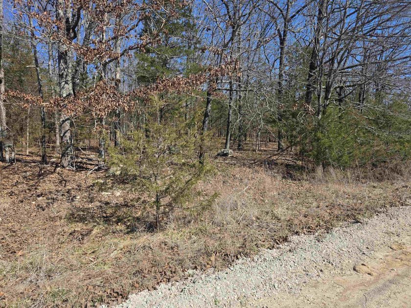 Wonderful Lake-view lot on beautiful Diamond Lake of Horseshoe - photo 7