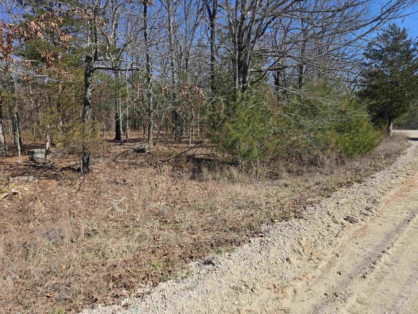 Wonderful Lake-view lot on beautiful Diamond Lake of Horseshoe - photo 8