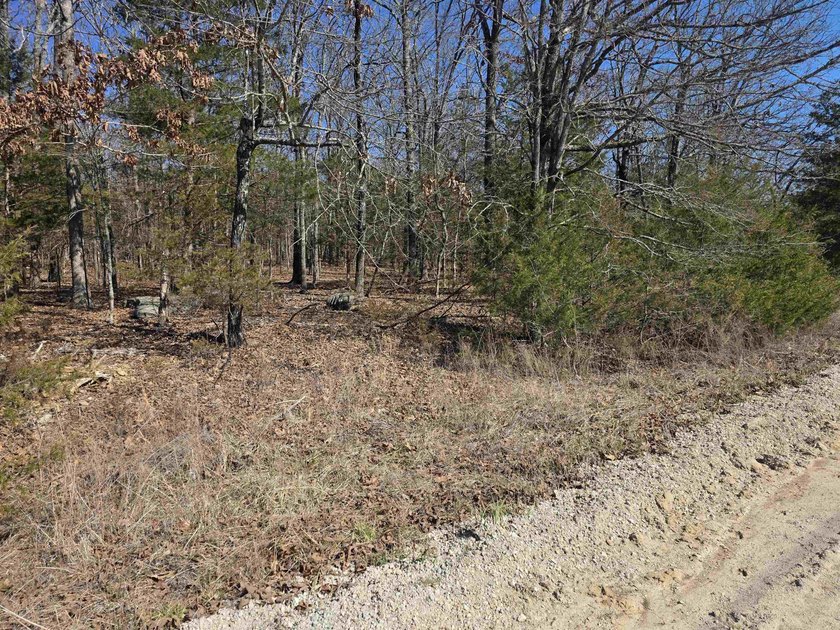 Wonderful Lake-view lot on beautiful Diamond Lake of Horseshoe - photo 9
