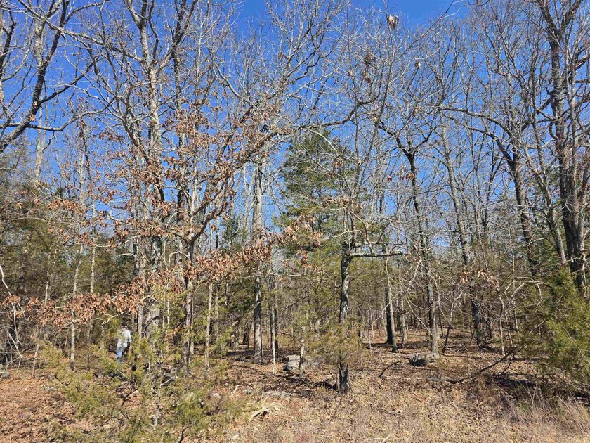 Wonderful Lake-view lot on beautiful Diamond Lake of Horseshoe - photo 10