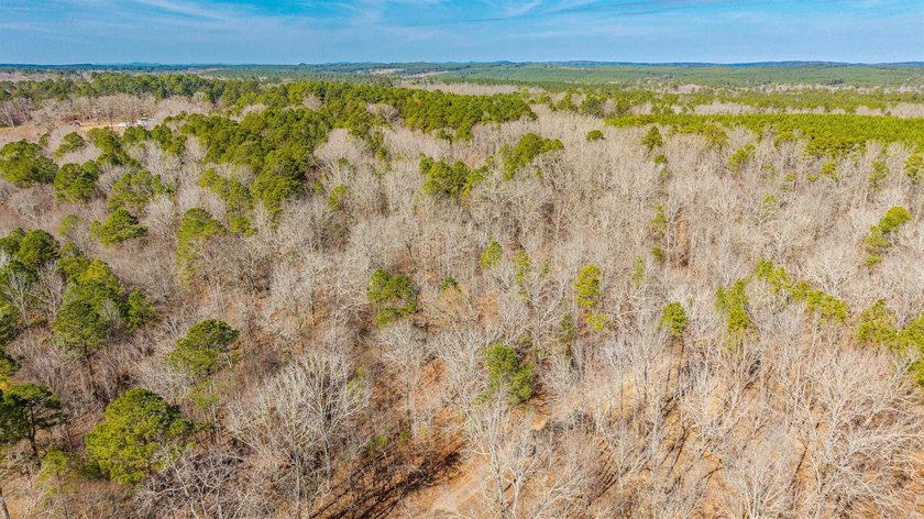 4.08+/- acres of wooded, level land located outside the city - photo 2