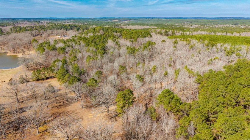 4.08+/- acres of wooded, level land located outside the city - photo 4