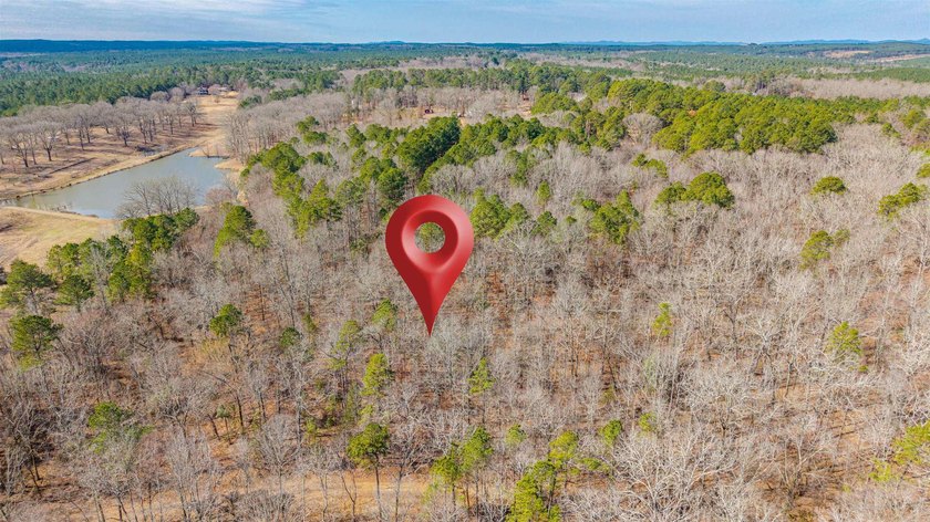4.08+/- acres of wooded, level land located outside the city - photo 7