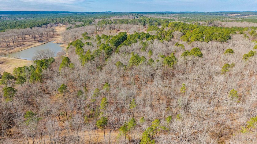 4.08+/- acres of wooded, level land located outside the city - photo 8