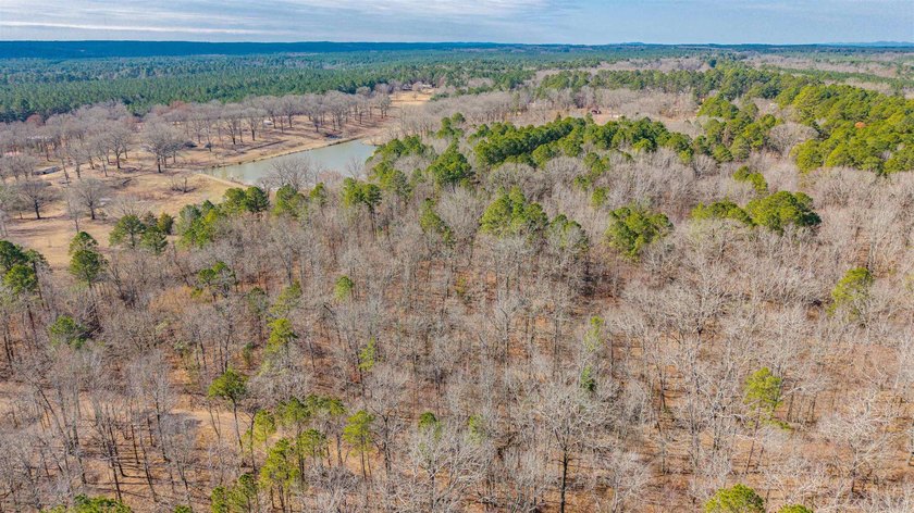 4.08+/- acres of wooded, level land located outside the city - photo 9