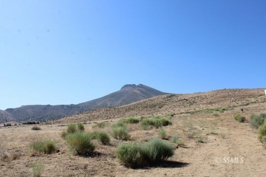 Three Contiguous Acreage Parcels, 5.00 Acre plus 7.89 Acre plus - photo 10