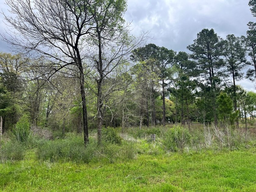 Lot 329 is a 1.4 +/- acre lot inside the gated and restricted - photo 2