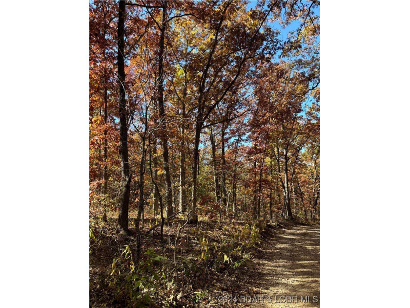 Nice wooded 10 acres, with no known restrictions. Access road is - photo 11