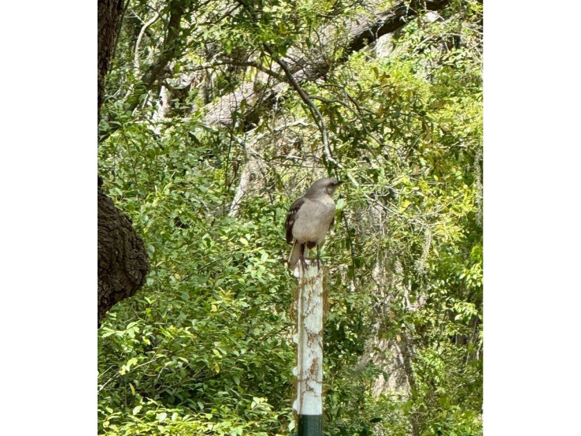 Your North Florida Home Awaits! Discover the charm of country - photo 17