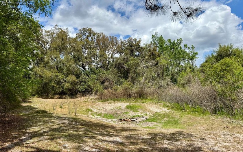 Your North Florida Home Awaits! Discover the charm of country - photo 20