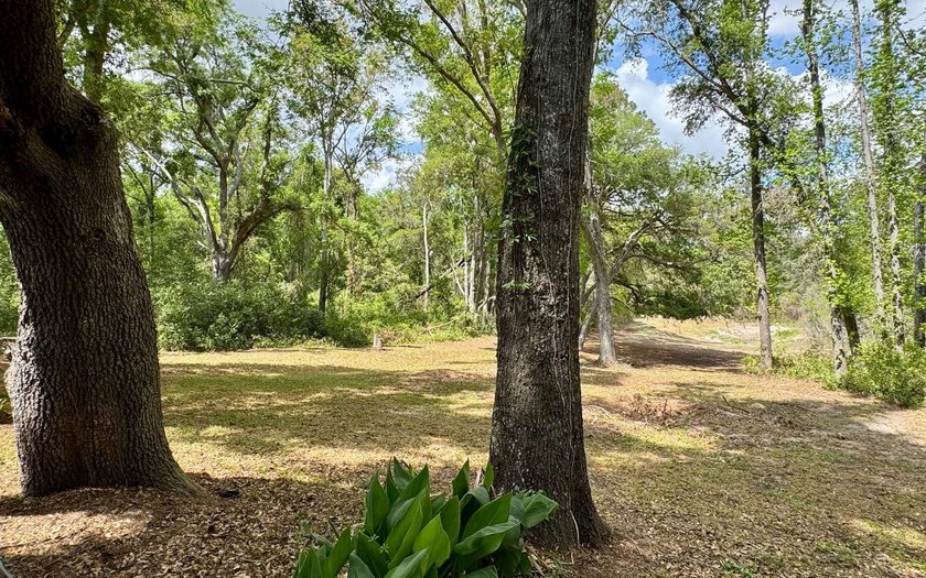 Your North Florida Home Awaits! Discover the charm of country - photo 22