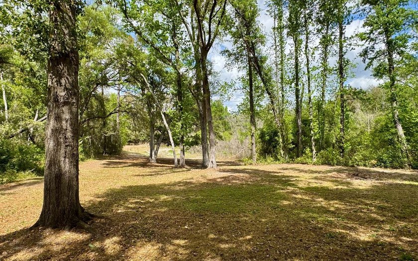 Your North Florida Home Awaits! Discover the charm of country - photo 24
