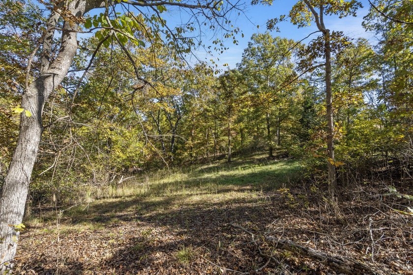 Great location and high visibility this 14.5 acres m/l has 1700 - photo 4
