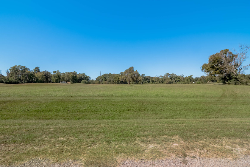 Lot 7-8 Springs Road at Trinity Plantation SOLD - photo 5