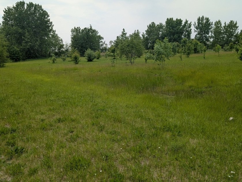 A commercial site with many possible uses. There is visibility - photo 2